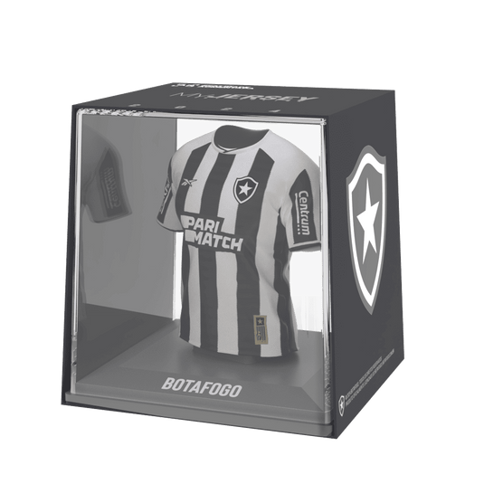 Botafogo 2024 - Splink