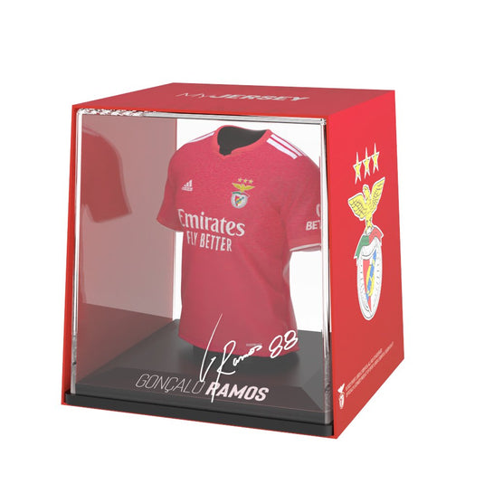 Gonçalo Ramos - Splink