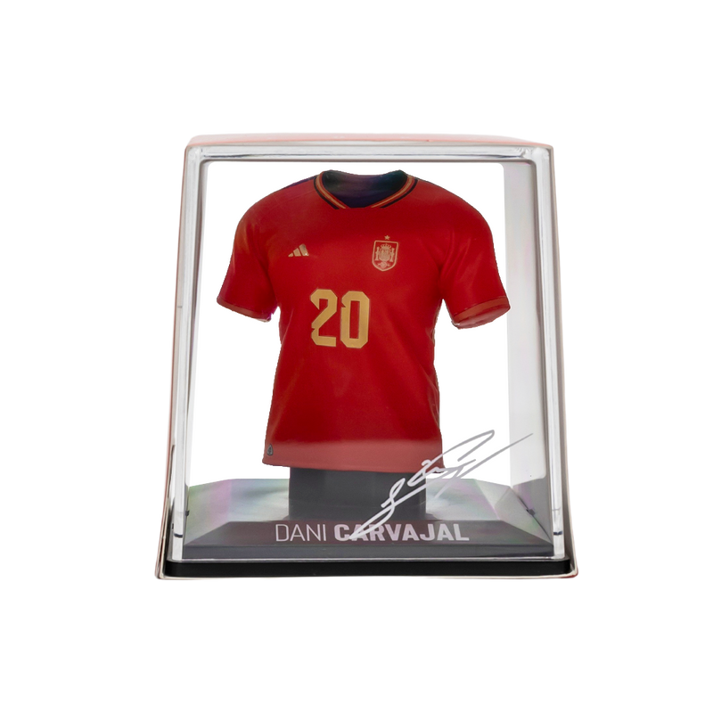 Resmi Galeri görüntüleyicisine yükle, Dani Carvajal - Splink

