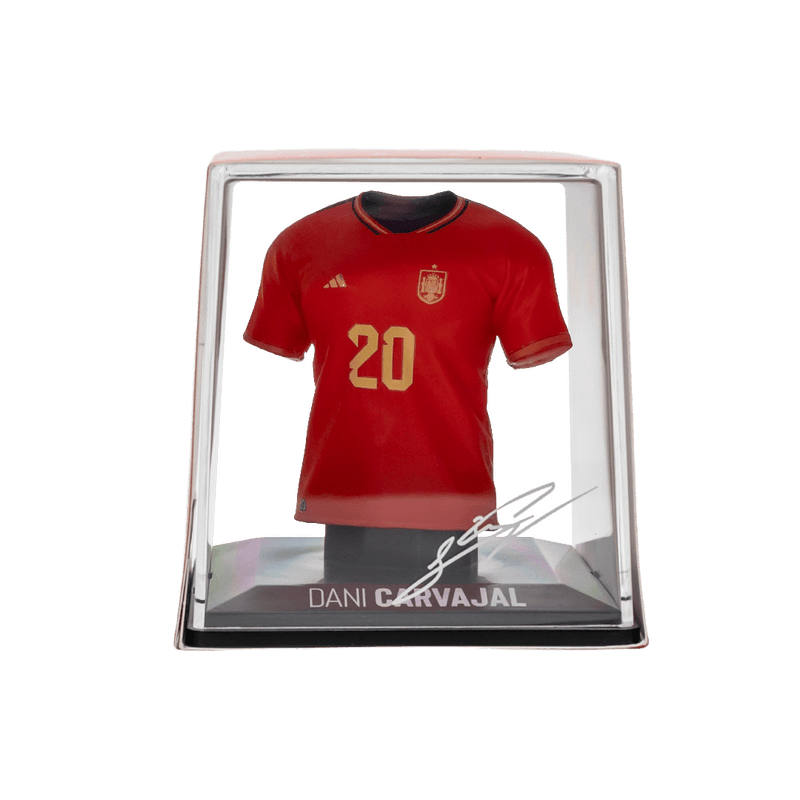 Resmi Galeri görüntüleyicisine yükle, Dani Carvajal - FanCollex
