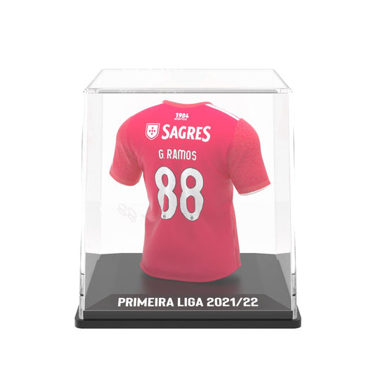 Gonçalo Ramos - Splink