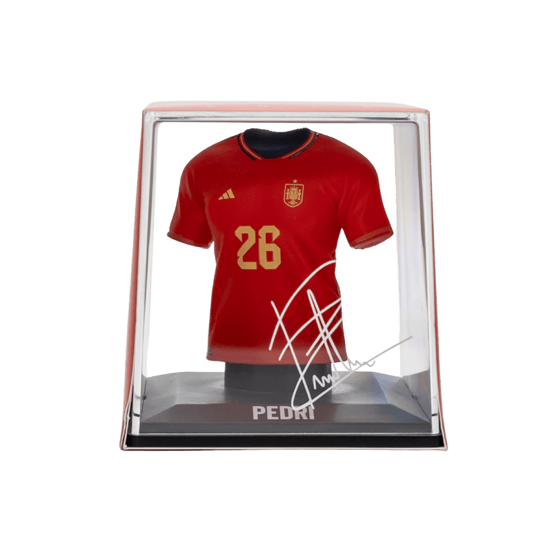 Load image into Gallery viewer, Pedri - FanCollex
