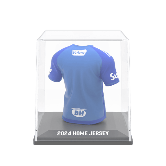 Season Jersey - FanCollex