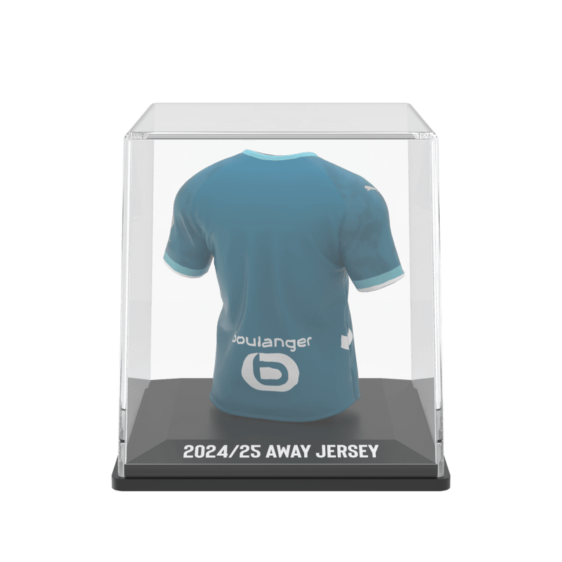 Load image into Gallery viewer, Season Jersey - FanCollex
