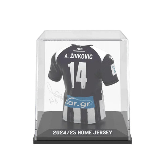 Zivkovic - Splink